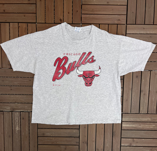 Chicago Bulls Graphic Tee | Size XX-Large | Vintage 1990s NBA Basketball Grey T-Shirt |