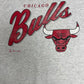 Chicago Bulls Graphic Tee | Size XX-Large | Vintage 1990s NBA Basketball Grey T-Shirt |