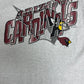 Arizona Cardinals Graphic Tee | Size X-Large | Vintage 1990s NFL Football Grey T-Shirt |