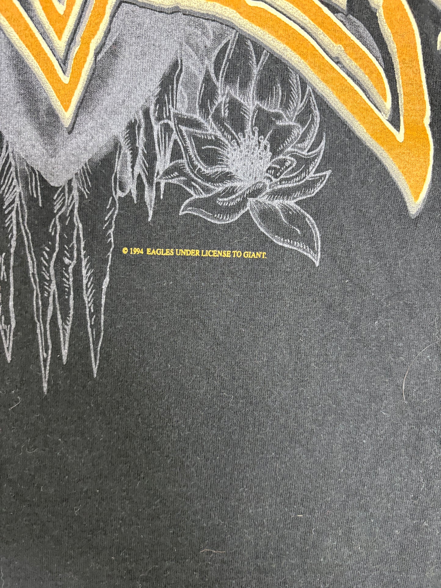 Eagles Hell Freezes Over Tour 1996 Graphic Tee | Size Large | Vintage 1990s Rock Band Black T-Shirt |