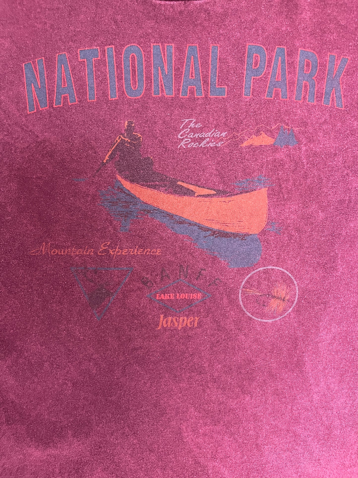 Banff National Park Graphic Tee | Size Large | Vintage 1990s Tourist Single Stitch Purple T-Shirt |