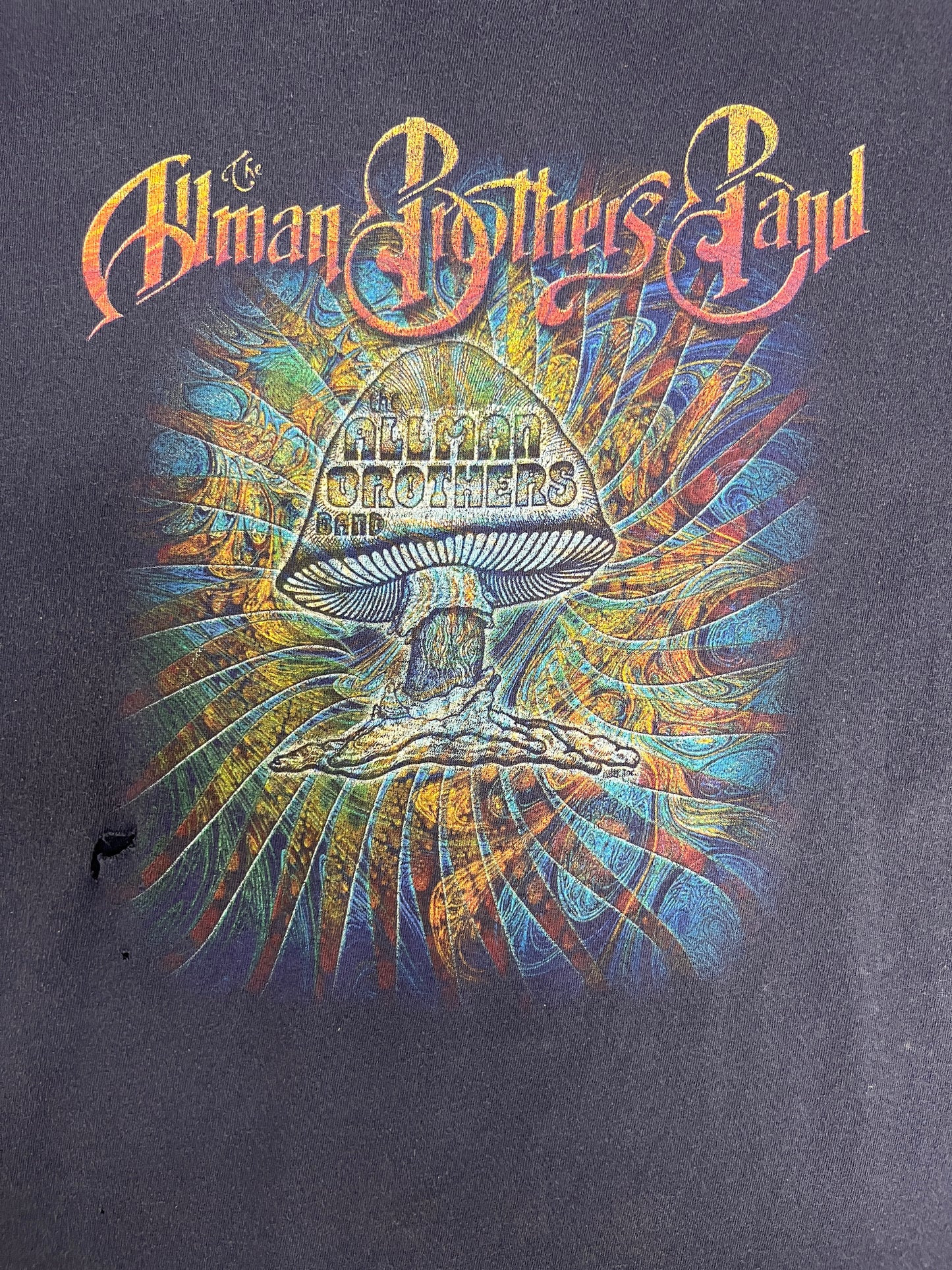 The Allman Brothers Band Graphic Tee | Size XX-Large | Vintage 2000s Rock Band Blue T-Shirt |