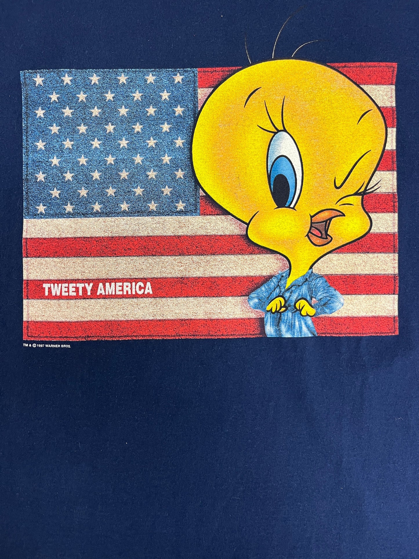 Tweety Bird America Graphic Tee | Size Large | Vintage 1990 Looney Tunes Promotional Blue T-Shirt | Made in USA |