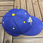 Minnesota Vikings Embroidered Graphic Hat | One Size Fits All With Snap Back | Vintage 2000s NFL Football Purple Cap | Free Shipping to USA|