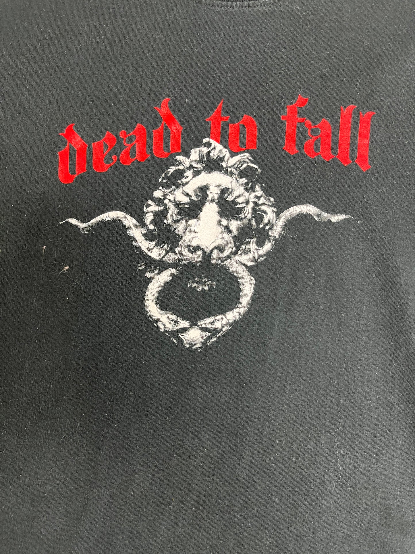 Dead To Fall Carnage Graphic Tee | Size Small | Vintage 2000s Heavy Metal Band Music Black T-Shirt | Free Shipping to USA |