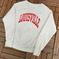 Louisville Cardinals Graphic Crewneck | Size Medium | Vintage 1990s College Sports Grey Sweater | Free Shipping to USA |