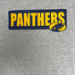 Franklin Regional Panthers Swimming Graphic Tee | Size X-Large | Vintage 2000s High School Grey T-Shirt |