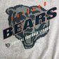 Chicago Bears Graphic Crewneck Tee | Size Large | Vintage 1990s NFL Football Grey Sweater |