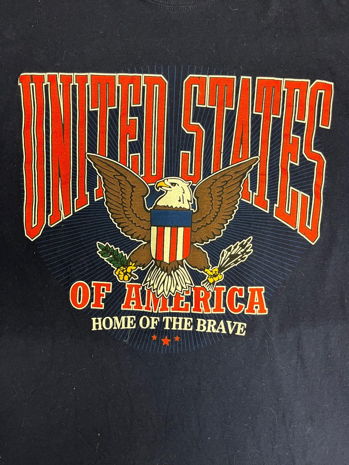 United States of America Home Of The Brave Graphic Tee | Size X-Large | Vintage 1990s Tourist Blue T-Shirt |