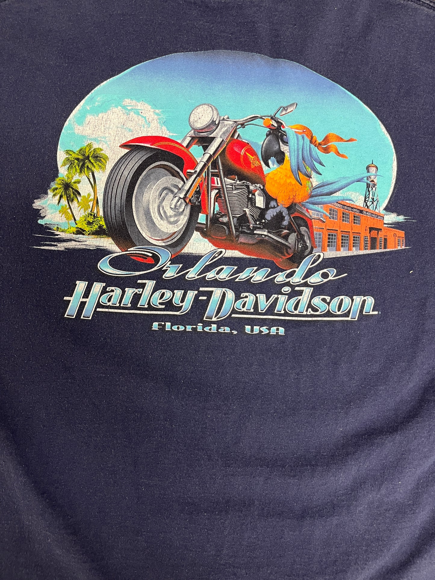 Harley Davidson Orlando, Florida Graphic Tee | Size Medium | Vintage 2000s Biker Motorcycle Blue T-Shirt | Free Shipping to USA |