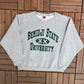 Bemidji State University Beavers Champion Graphic Crewneck | Size Medium | Vintage 2000s College Sports Grey Sweater | Free Shipping to USA|