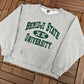 Bemidji State University Beavers Champion Graphic Crewneck | Size Medium | Vintage 2000s College Sports Grey Sweater | Free Shipping to USA|