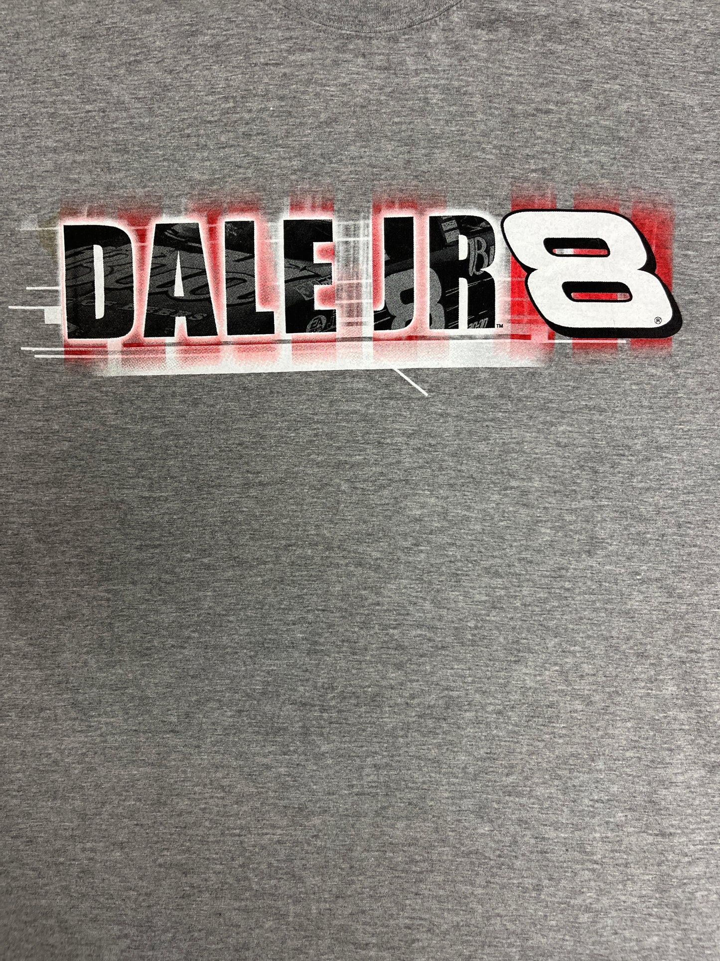 Dale Earnhardt Jr NASCAR Racing Graphic Tee | Size XX-Large | Vintage 2000s Promotional Racing Grey T-Shirt | Free Shipping to USA |