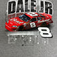 Dale Earnhardt Jr NASCAR Racing Graphic Tee | Size XX-Large | Vintage 2000s Promotional Racing Grey T-Shirt | Free Shipping to USA |