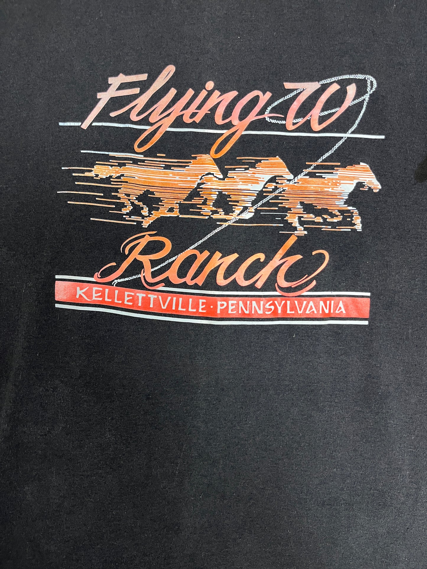 Flying W Ranch Kellettville, Pennsylvania Graphic Tee | Size Large | Vintage 1990s Made in USA Black T-Shirt |