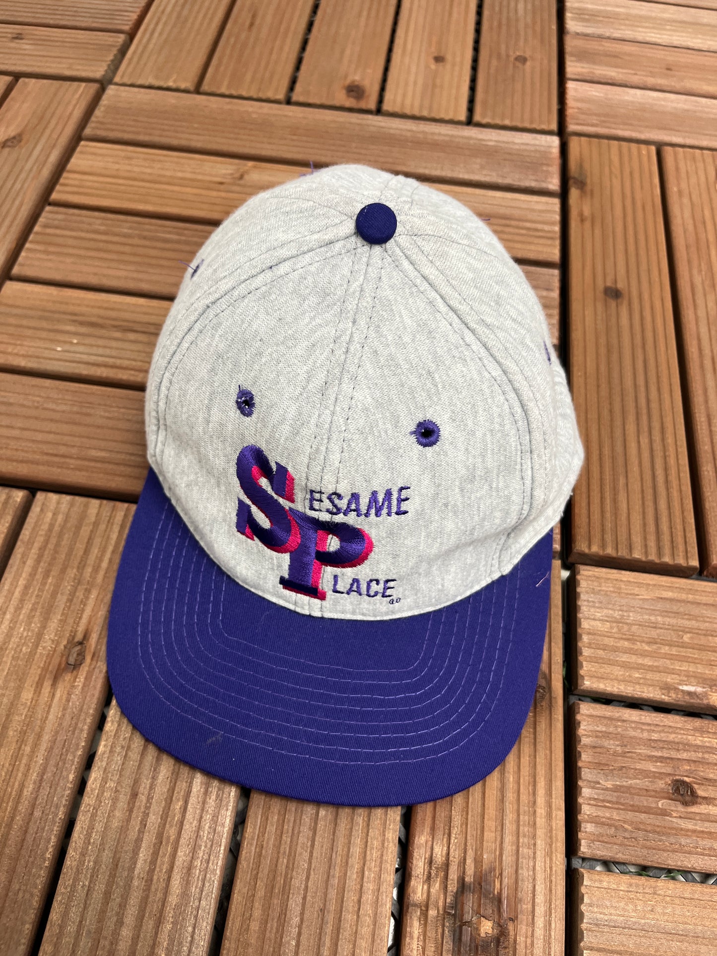 Sesame Place Embroidered Graphic Hat | Snap Back | Vintage 1990s Tourist Grey Cap |