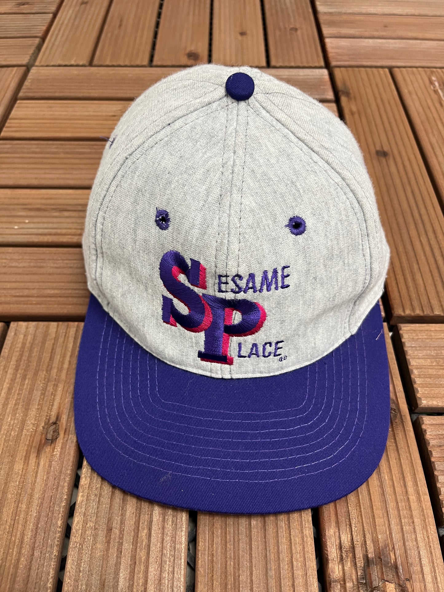 Sesame Place Embroidered Graphic Hat | Snap Back | Vintage 1990s Tourist Grey Cap |