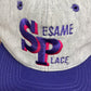 Sesame Place Embroidered Graphic Hat | Snap Back | Vintage 1990s Tourist Grey Cap |
