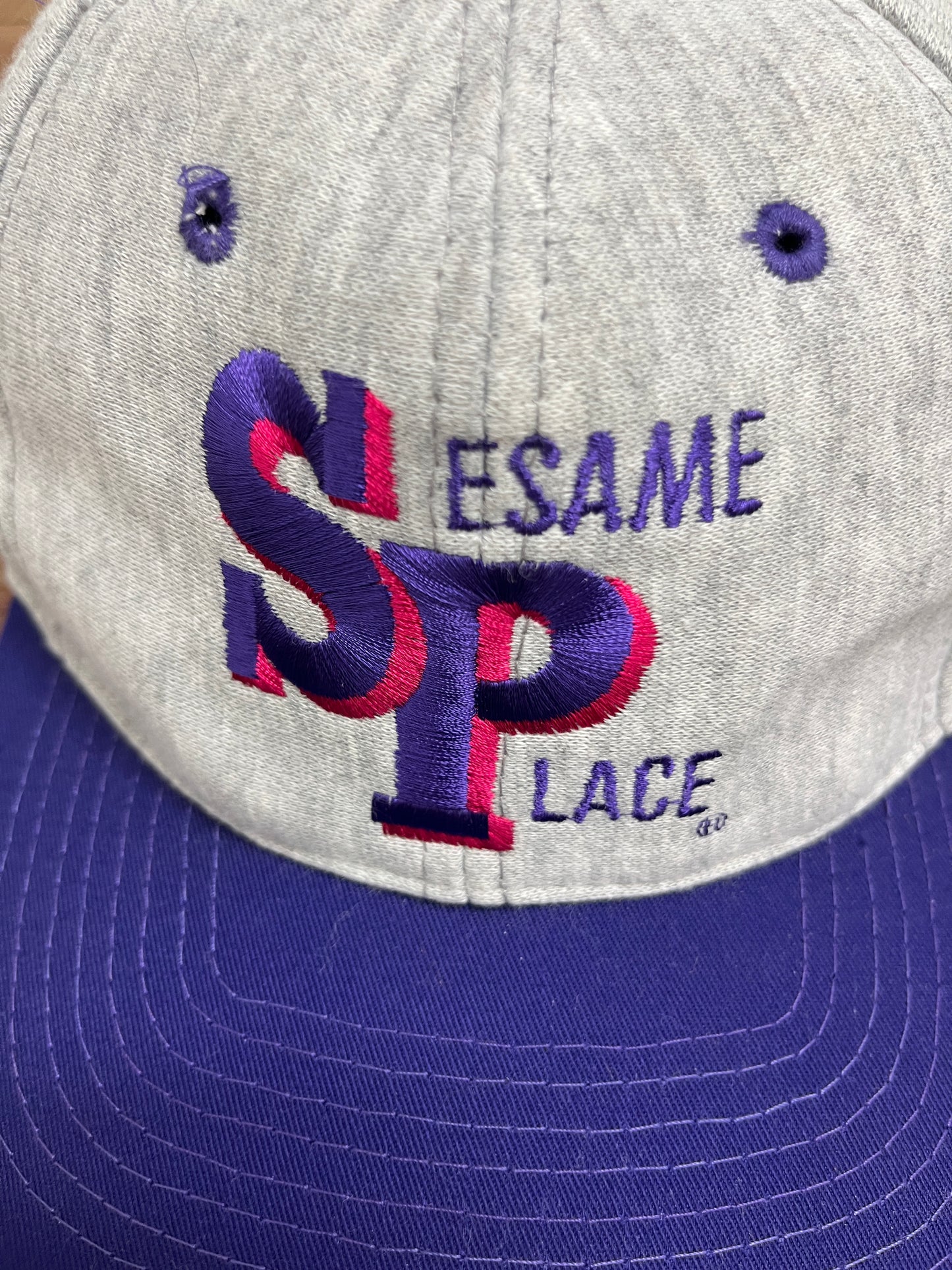 Sesame Place Embroidered Graphic Hat | Snap Back | Vintage 1990s Tourist Grey Cap |