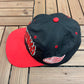 Detroit Red Wings Embroidered Graphic Hat | Snap Back | Vintage 1990s NHL Hockey Black Cap |