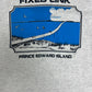 Fixed Link, Prince Edward Island Graphic Tee | Size Small | Vintage 1990s Single Stitch Tourist Grey T-Shirt |