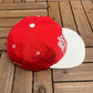 Detroit Red Wings Embroidered Graphic Hat | Snap Back | Vintage 1990s NHL Hockey Red Cap |