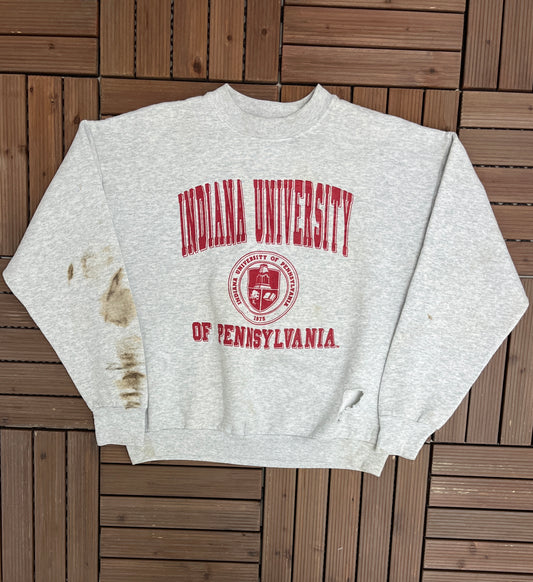 Indiana University of Pennsylvania Graphic Crewneck | Size X-Large | Vintage 1990s College Sports Grey Sweater |