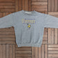 Minnesota Vikings Embroidered Graphic Crewneck | Size Large | Vintage 1990s NFL Football Speckled Sweater |