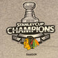 Chicago Blackhawks National Hockey League NHL Graphic Tee | Size Large | Vintage 2010 Stanley Cup Champions | Free Shipping to USA |