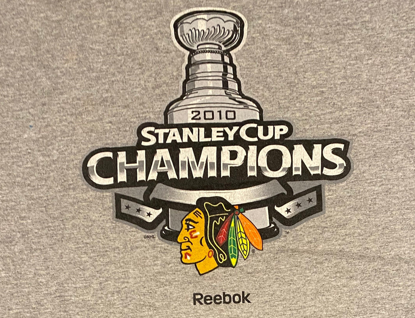 Chicago Blackhawks National Hockey League NHL Graphic Tee | Size Large | Vintage 2010 Stanley Cup Champions | Free Shipping to USA |