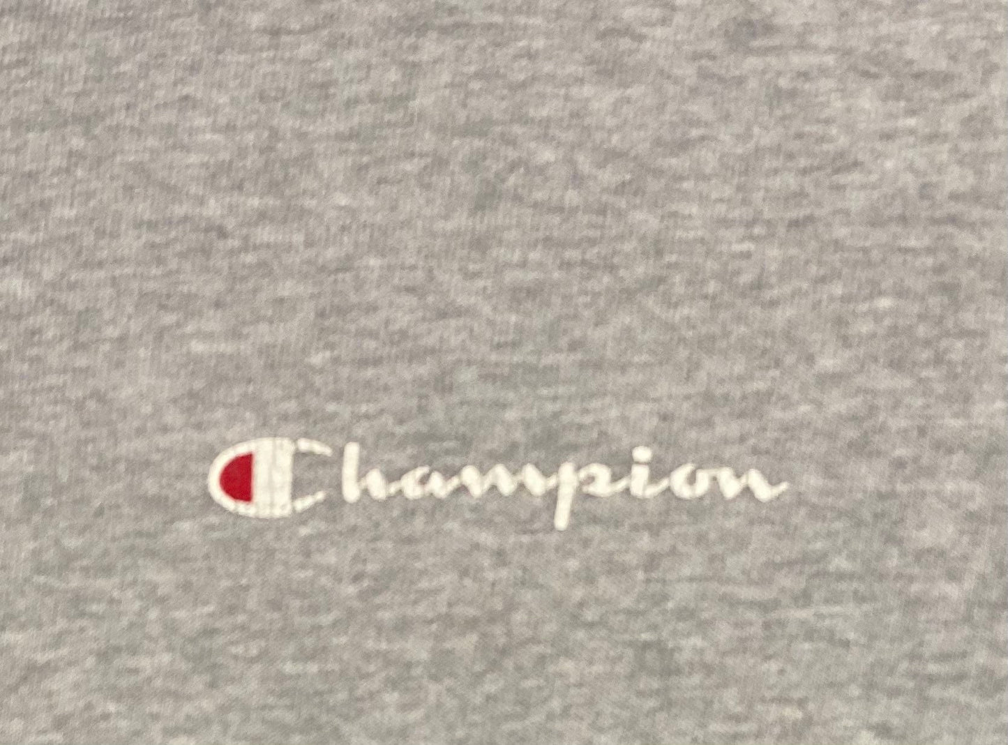 Champion Spell Out Small Logo Graphic Tee | Size Large | Vintage 2000s Grey Heavyweight T-Shirt | Free Shipping to USA |