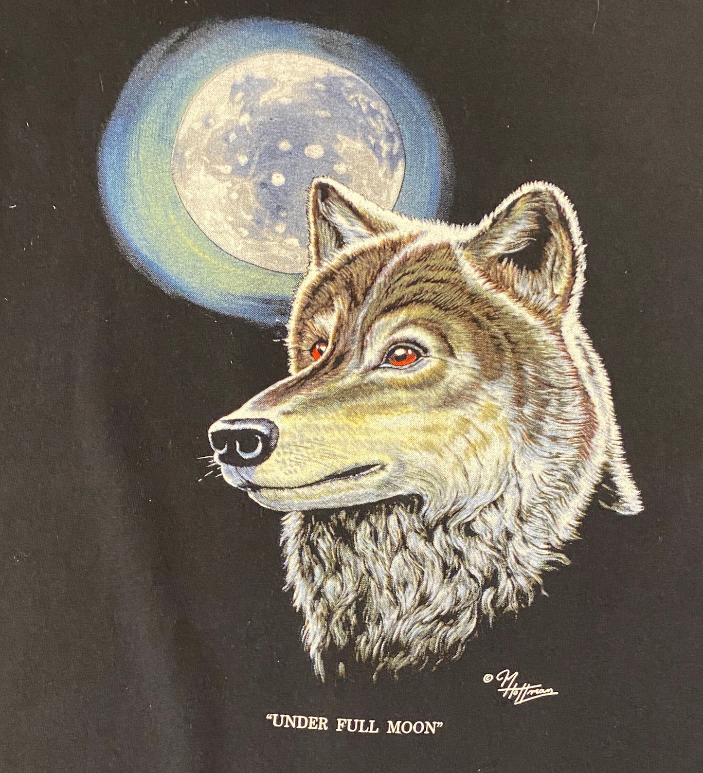 Wolves & The Moon Scenic Graphic Tee | Size Medium | Vintage 2000s Wolf Animal Black T-Shirt | Free Shipping to USA |