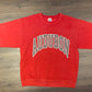 Audubon Spell Out Graphic Crewneck | Size XL | Vintage 1990s Grey & Red Sweater | Made in USA | Free Shipping to USA |