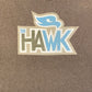 Tony Hawk Skateboarding Graphic Tee | Size Large | Vintage 2000s Blue & Grey T-Shirt | Skateboarding Brand | Free Shipping to USA|