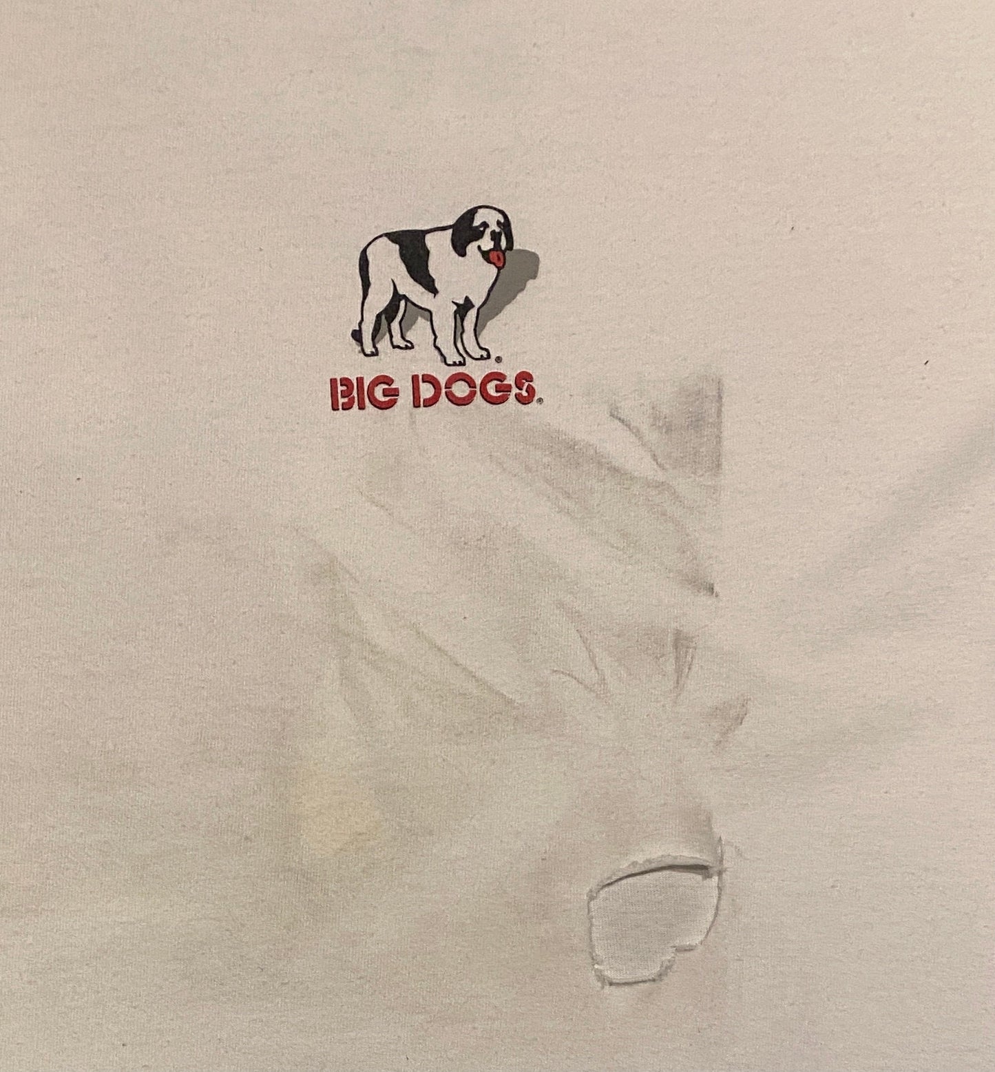 Big Dogs "Spider Dog" Graphic Tee | Size XL | Vintage 2000s Cartoon Dog White T-Shirt | Spiderman Peter Barker Spoof | Free Shipping to USA|