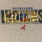 Cleveland Indians Graphic Tee | Size Medium | Vintage 2000s MLB Baseball Grey T-Shirt | MLB Genuine Merchandise | Free Shipping to USA |