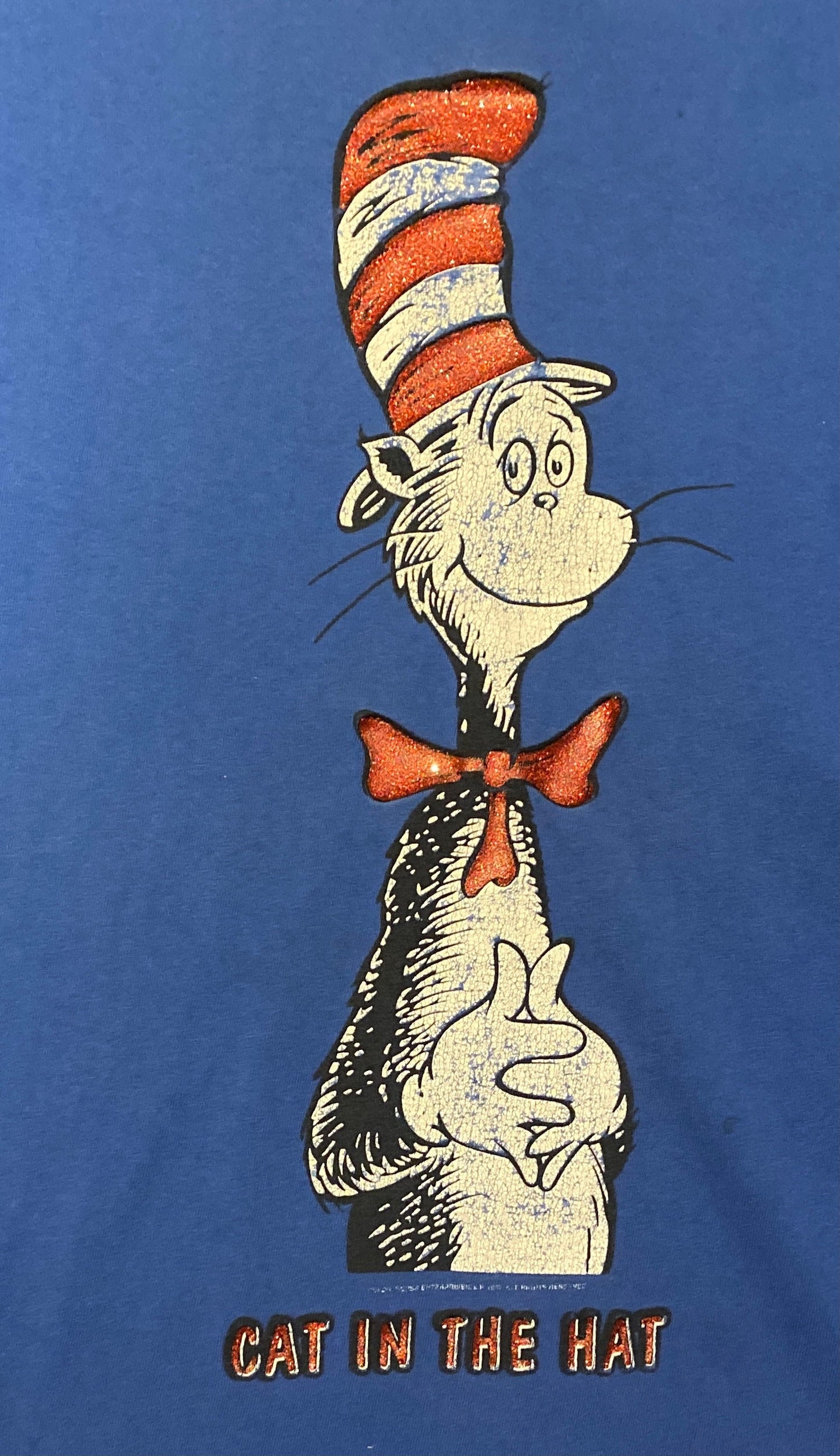 Cat In The Hat Dr. Seuss Graphic Tee | Size Bigger | Vintage 1990s Single Stitch Cartoon Character Blue T-Shirt | Free Shipping to USA|