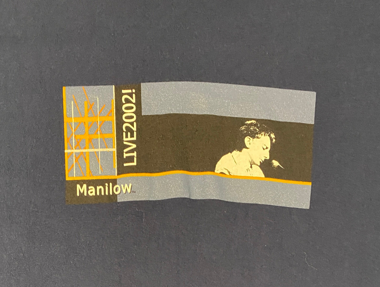 Barry Manilow Live 2002! Graphic Tee | Size XL | Vintage 2000s American Singer-Songwriter Blue T-Shirt | Free Shipping to USA |