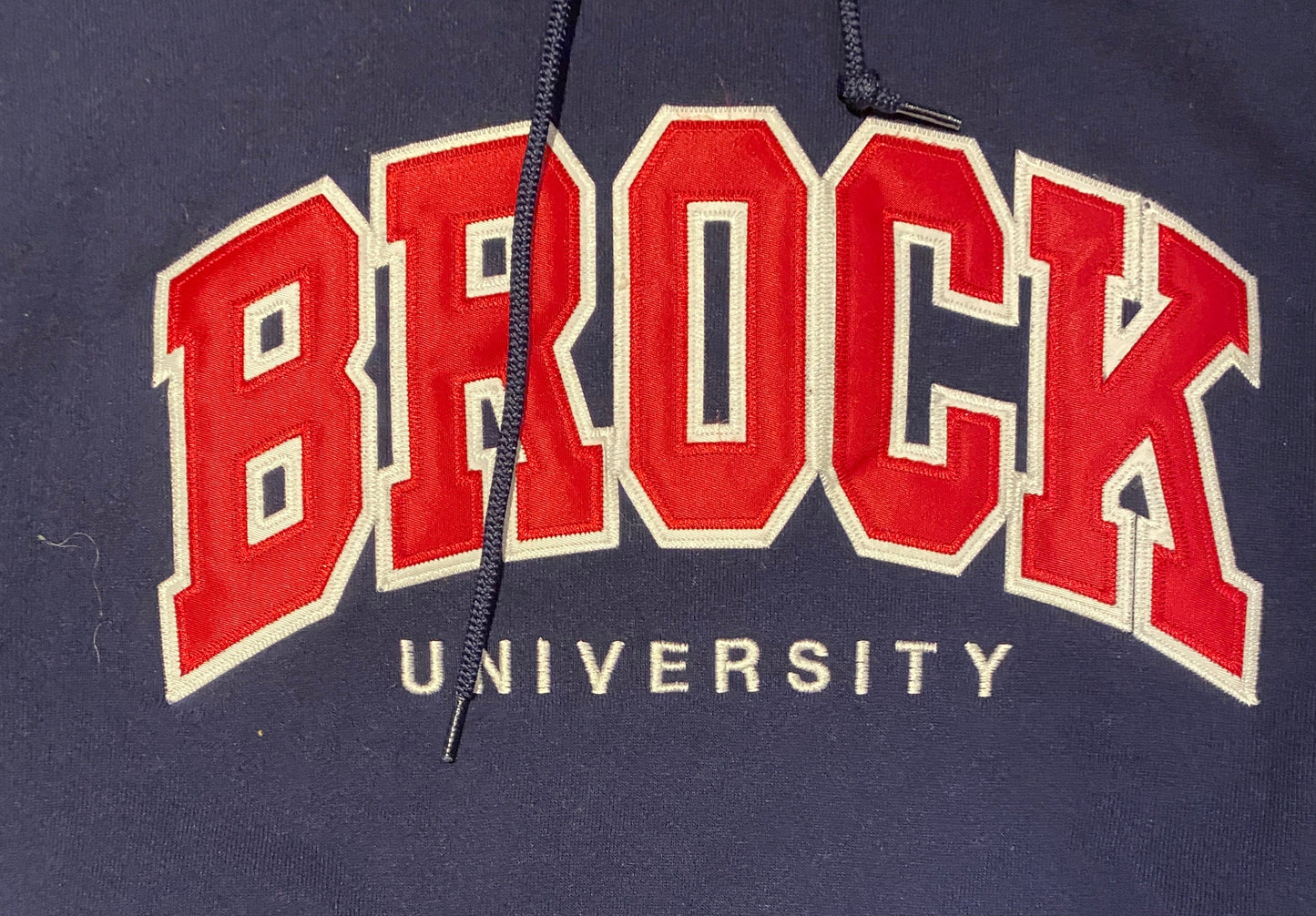 Brock University Embroidered Graphic Hoodie | Size Small | Vintage 2000s Russell College Blue Sweatshirt | Free Shipping to USA |