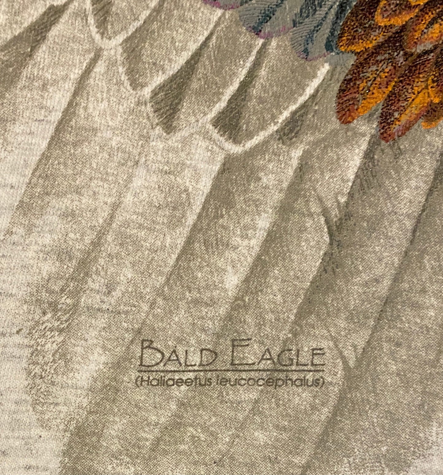 Bald Eagle Big Print Graphic Tee | Size Medium | Vintage 1990s Single Stitch Animal Graphic Grey T-Shirt | Free Shipping to USA |