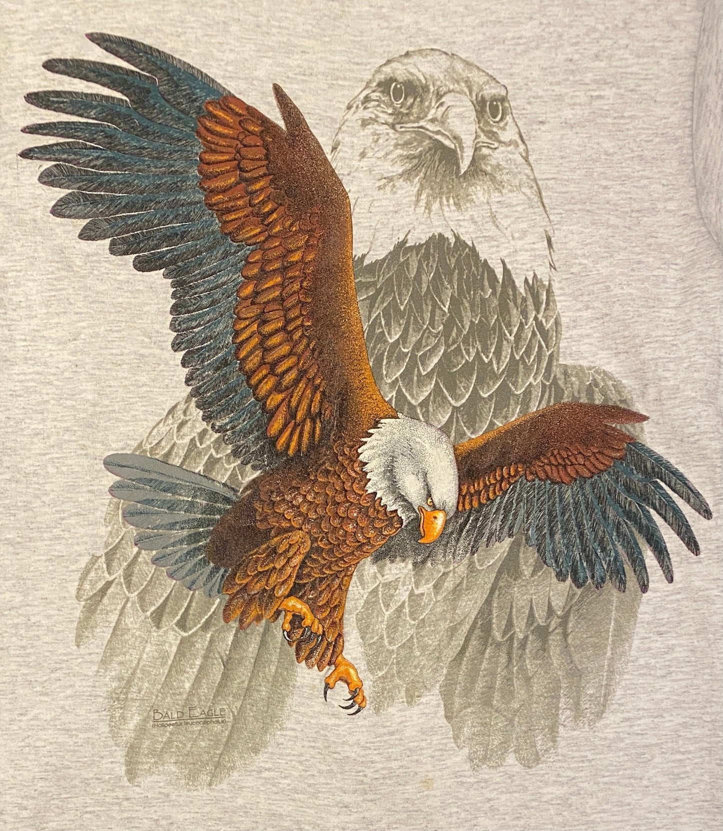 Bald Eagle Big Print Graphic Tee | Size Medium | Vintage 1990s Single Stitch Animal Graphic Grey T-Shirt | Free Shipping to USA |