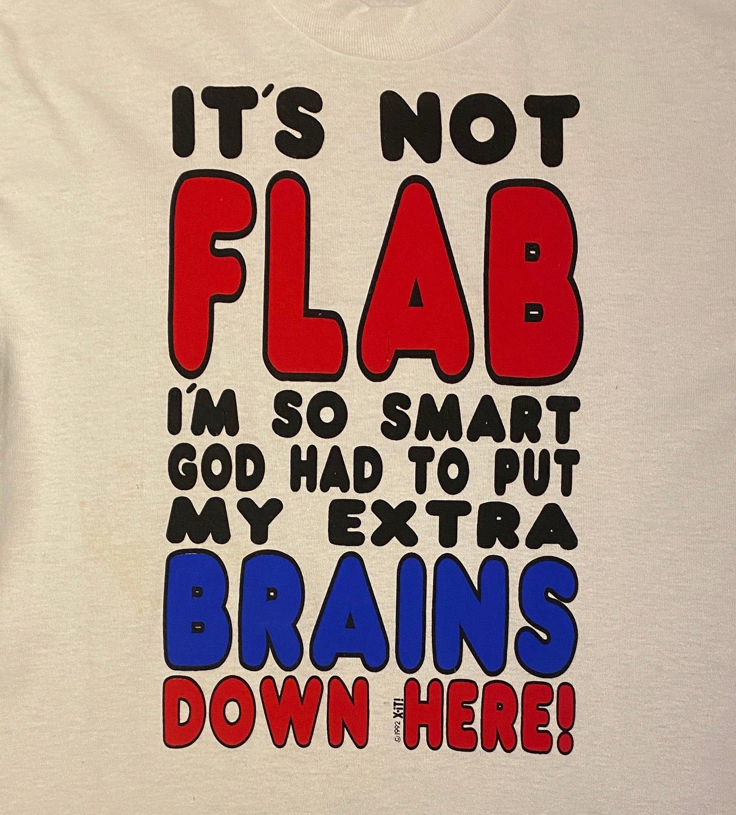 It's Not Flab I'm So Smart God Put My Extra Brains Down Here Graphic Tee | Size Large | Vintage 1990s White T-Shirt | Free Shipping to USA |