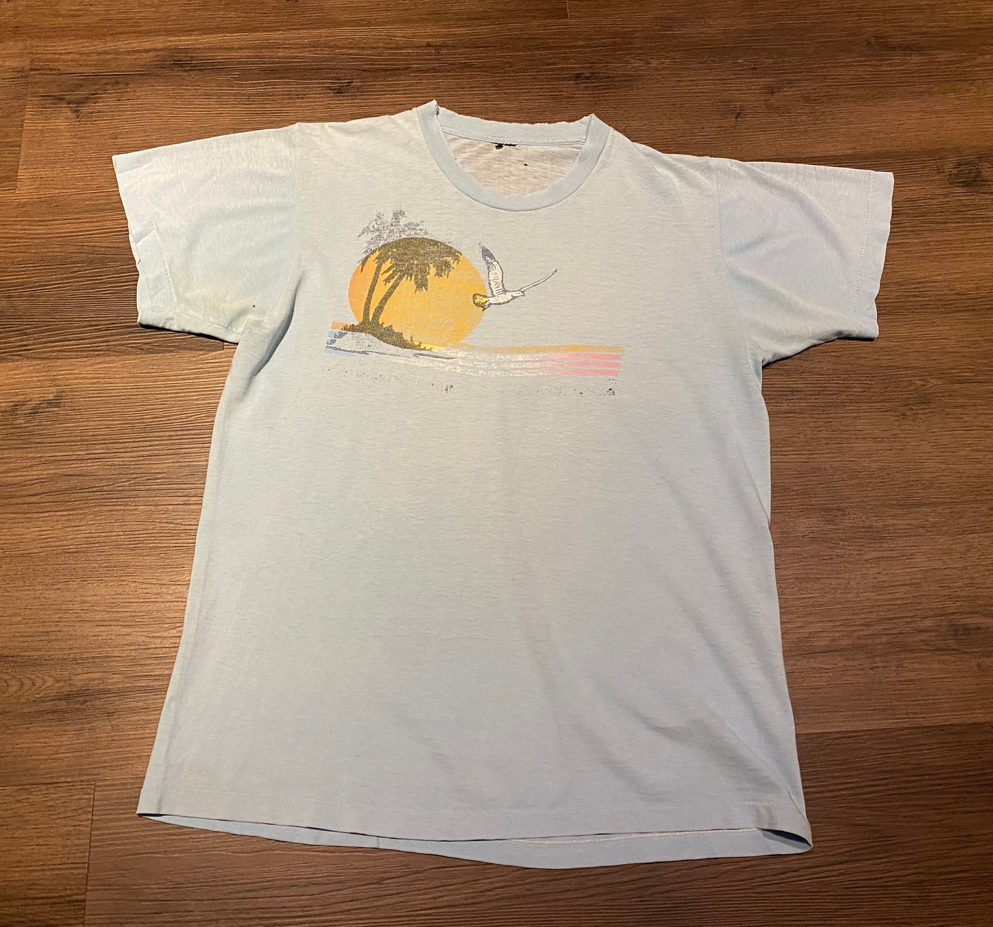 Bird & The Sun Graphic Tee | Size Medium | Vintage 1990s Retro Animal Single Stitch Blue T-Shirt | Scenic Graphic | Free Shipping to USA |