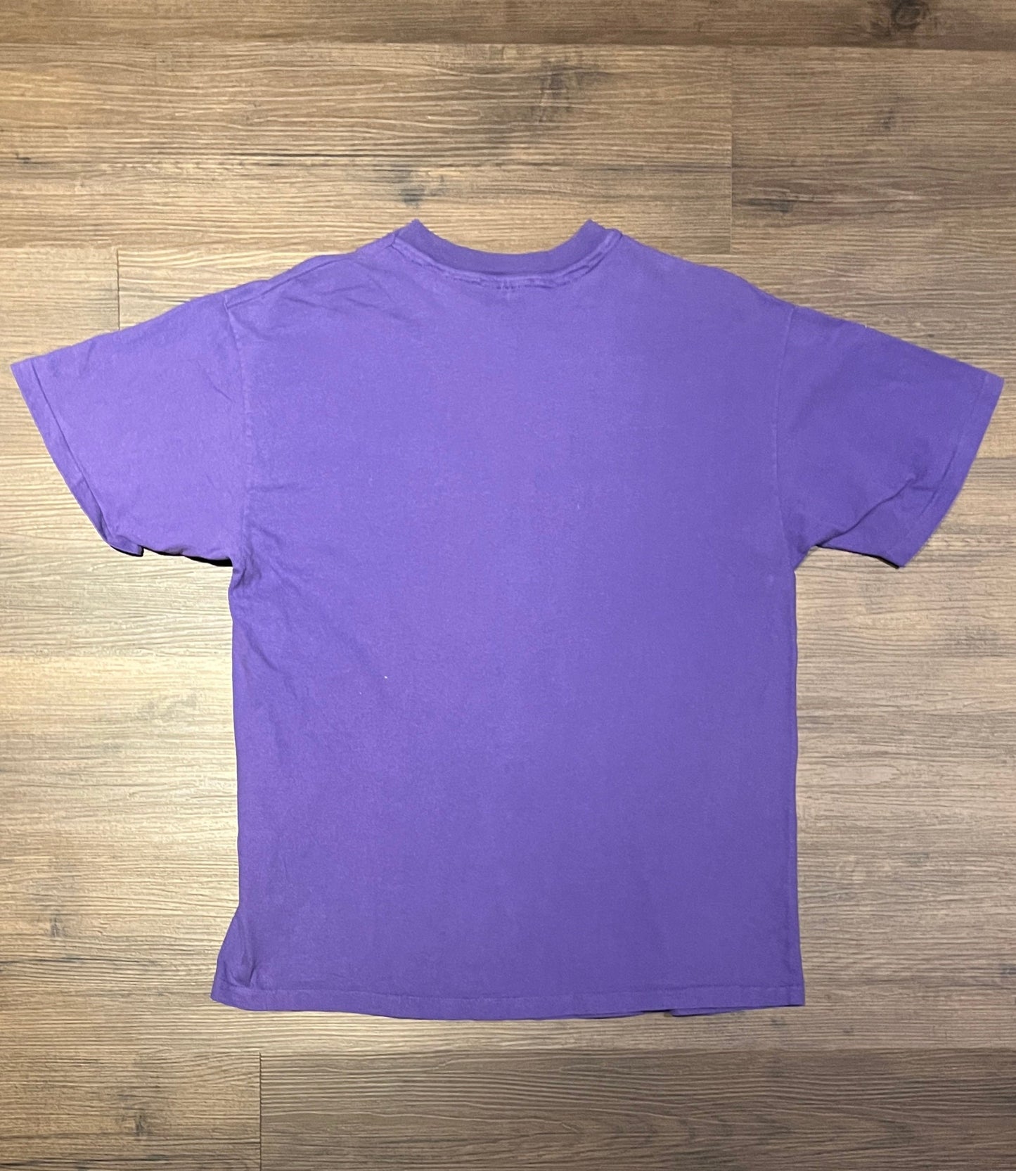 Banff British Columbia, Canada Graphic Tee | Size Large | Vintage 1990s Tourist Single Stitch Purple T-Shirt | Free Shipping to USA |