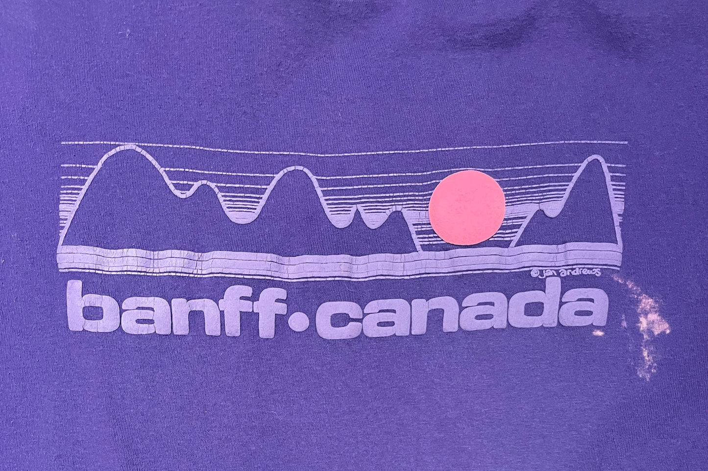 Banff British Columbia, Canada Graphic Tee | Size Large | Vintage 1990s Tourist Single Stitch Purple T-Shirt | Free Shipping to USA |