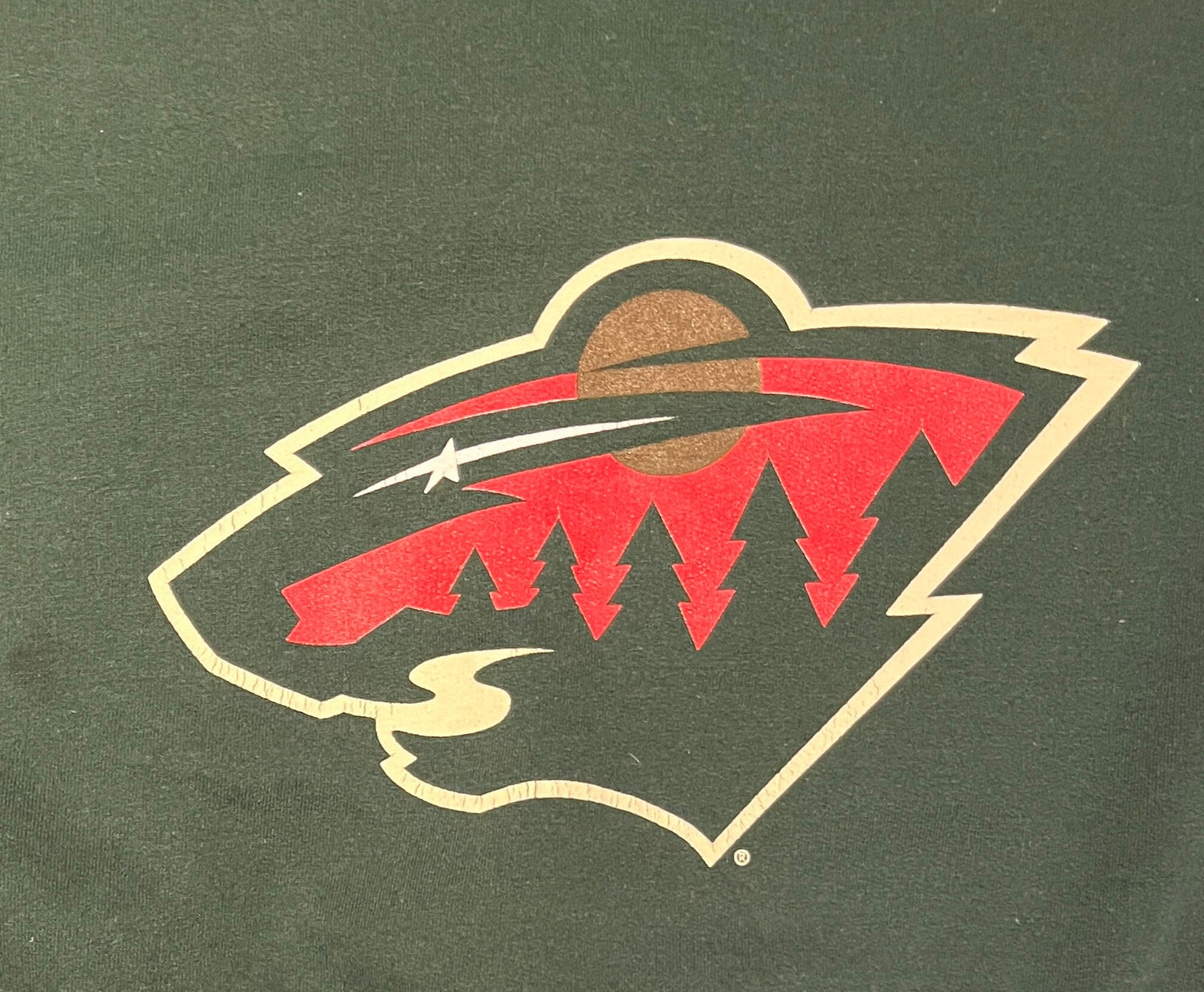 Minnesota Wild Hockey Graphic Hoodie | Size Medium | Vintage 2000s NHL Hockey Green T-Shirt | CSA Neck Tag | Free Shipping to USA |