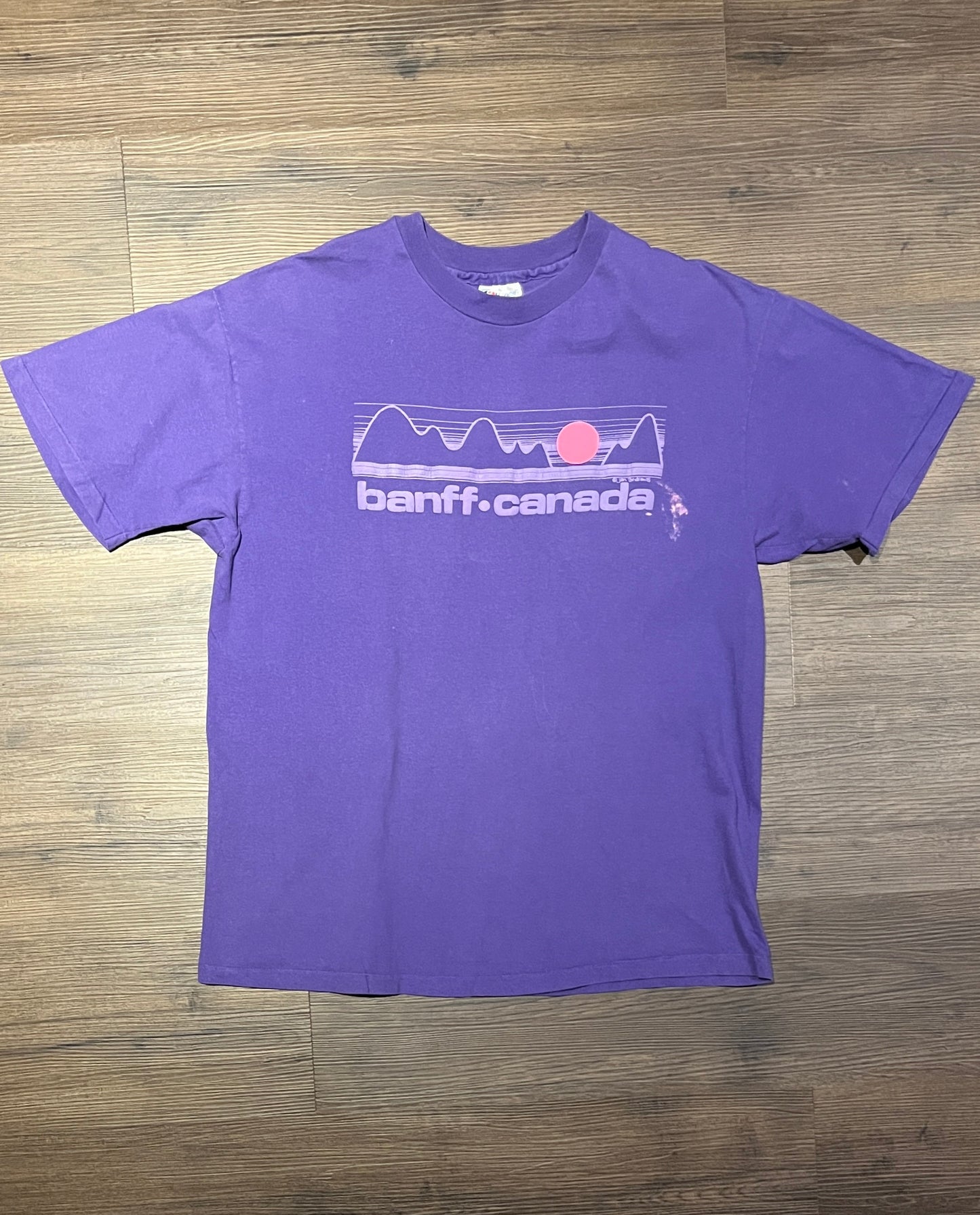 Banff British Columbia, Canada Graphic Tee | Size Large | Vintage 1990s Tourist Single Stitch Purple T-Shirt | Free Shipping to USA |