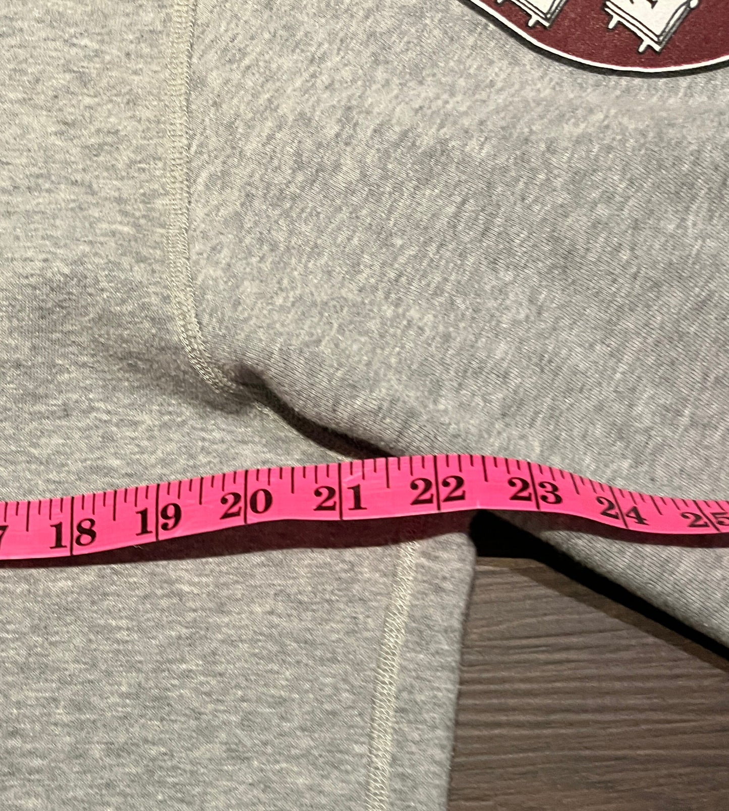 Harvard University Veritas Graphic Hoodie | Size Small | Vintage 2000s Strong Peak College Grey Sweater | Free Shipping to USA|