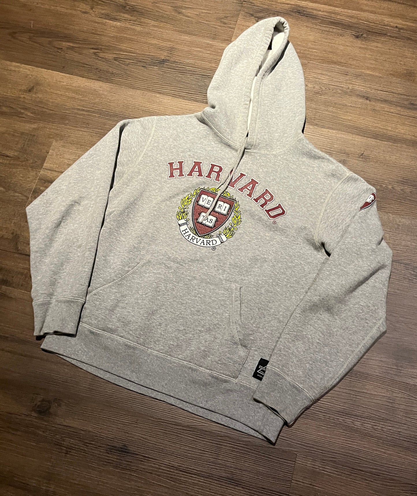 Harvard University Veritas Graphic Hoodie | Size Small | Vintage 2000s Strong Peak College Grey Sweater | Free Shipping to USA|