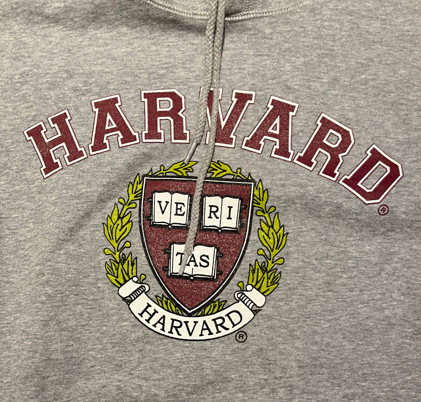 Harvard University Veritas Graphic Hoodie | Size Small | Vintage 2000s Strong Peak College Grey Sweater | Free Shipping to USA|